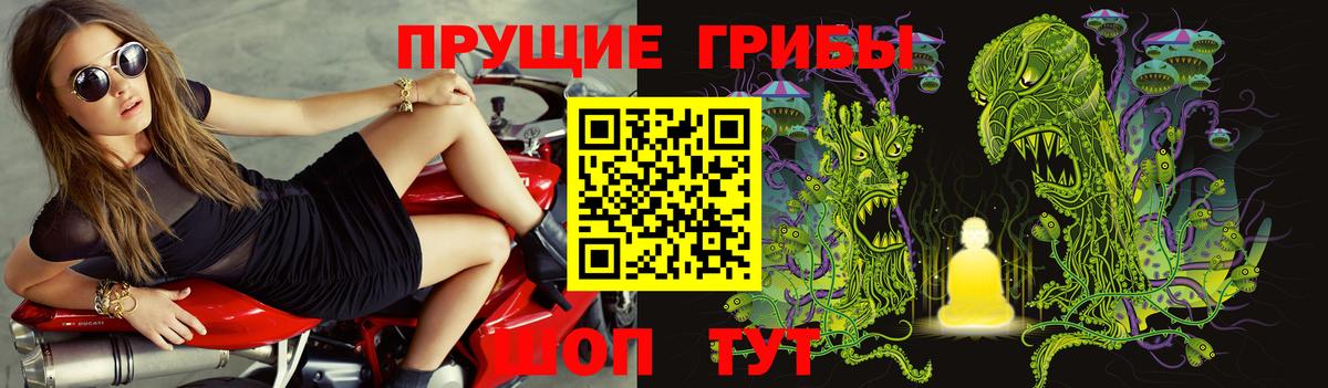 Галлюциногенные грибы Psilocybine cubensis  хочу наркоту  Вход с VPN  Крымск  Псилоцибиновые грибы Psilocybe 